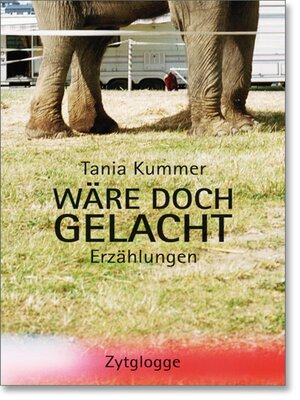 cover image of Wäre doch gelacht